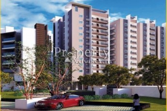 SMR VINAY BOULDER WOODS  B-3568
