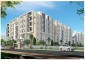 Begonia Homes