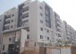 Begonia Homes