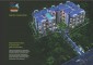 Blue Birds Habitat