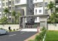 Divine Allura Block G