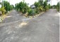 Akshara s Ekdanta Enclave