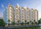INFOCITY EMERALD