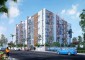 Mapple Homes - C
