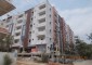 Mapple Homes - C