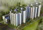 NCC Urban Gardenia