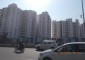 NCC Urban Gardenia