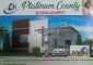 Platinum County