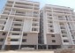 Saffron Sanathan Block - C