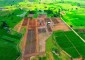 Vynatheya Farms
