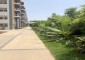 Whistling Woods