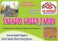 Yadadri Green Farms