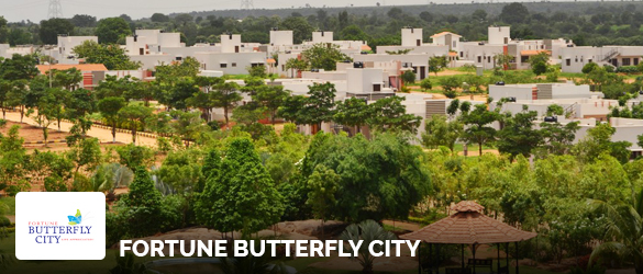 Fortune Butterfly City